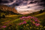 Passo falzarego Passo falzarego