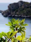 Vedute dal Capo (7)