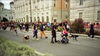 Arrivo della maratona per famiglie a Trieste. Lomo LC-A,pellicola Kodakcolor 200 iso,Epson V500.
