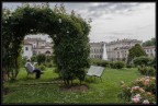 Riposo nel roseto