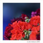 Carnosit... di primavera
