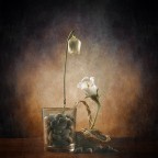 Gli amanti... Gli amanti...