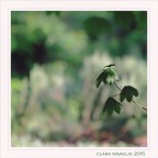 Green ... on green Green ... on green