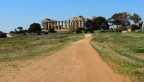 Selinunte : Parco archeologico Selinunte : Parco archeologico
