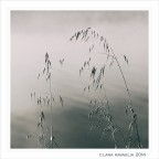 Sottilmente... Sottilmente...