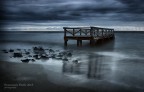 mare