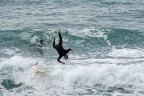 Surfer Surfer