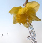 acqua2 acqua2