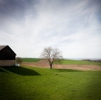 quasi primavera quasi primavera