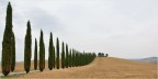 st