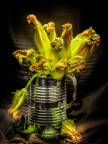 Fiori di zucca Fiori di zucca
