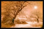 Morbida e calda neve Morbida e calda neve