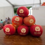 redpig festival redpig festival