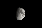 Luna |) Luna |)