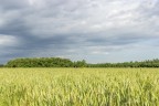 st