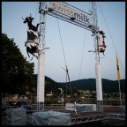 vacche alpine vacche alpine