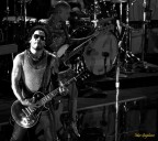 LIVE LENNY LIVE LENNY