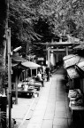 Fushumi Inari