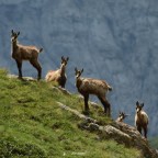 Foto di gruppo Foto di gruppo