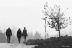 Lungo la via delle Salse di Nirano Lungo la via delle Salse di Nirano