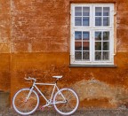 Orange & White Orange & White