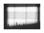 ''' '''