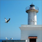 Ventotene,faro del porto. Consigli e critiche sempre ben accetti.
