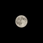 Blue Moon Blue Moon