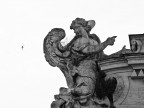 Angel and Bird Angel and Bird