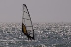 wind surf wind surf