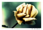...triste... ...triste...