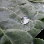 Idrorepellente Idrorepellente