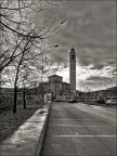 B/W