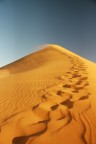 Duna 45 - Namib desert