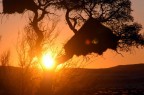 Tramonto Tramonto