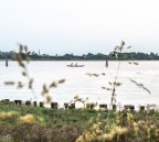 .daSantErasmo. .daSantErasmo.