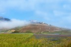 Oltre la nebbia