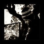 incompresa incompresa