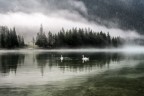 Nebbia al lago Nebbia al lago