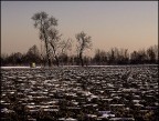 Bassa, l'attesa Bassa, l'attesa