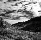 The Wizard's Garden ;/) The Wizard's Garden ;/)