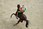 Palio dell'Assunta : Vince La Selva Palio dell'Assunta : Vince La Selva