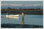 Pescatore di laguna Pescatore di laguna