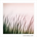 Fuggevole.... Fuggevole....