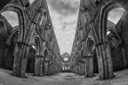 Abazia di San Galgano Abazia di San Galgano