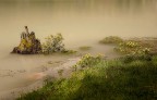 suggerimenti e critiche sempre ben accettati

passeggiando una mattina lungo le sponde del lago di Dobbiaco con l'acqua abbastanza sporca a causa di una copiosa pioggia caduta per due giorni ho notato questo tronco che mi ha subito richiamato alla bellissima localit francese

Nikon D700
obbiettivo Nikkor 28-300 mm.
apertura f.8
esposizione 1/320 sec.
focale 52 mm.
ISO 400