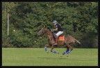 Monza Polo 2015