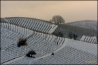 the winter langhe the winter langhe
