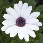 Della serie quadrato è bello... Della serie quadrato è bello...