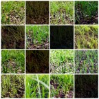 Stessa scena momenti diversi (5) Stessa scena momenti diversi (5)